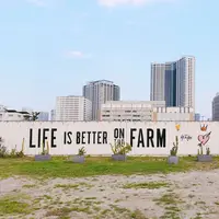 ワイルドマジック ザ レインボー ファーム（WILDMAGIC The Rainbow Farm）の写真・動画_image_348578