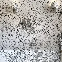 ラコリーナ近江八幡の写真・動画_image_348886