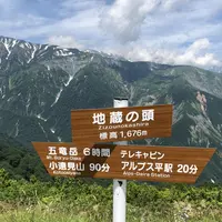 白馬五竜高山植物園の写真・動画_image_349006