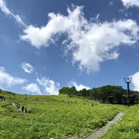 白馬五竜高山植物園の写真・動画_image_349008