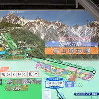 白馬五竜高山植物園の写真・動画_image_349015