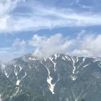 白馬五竜高山植物園の写真・動画_image_349017