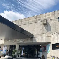 白馬五竜高山植物園の写真・動画_image_349018