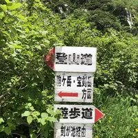 千畳敷カールの写真・動画_image_349400