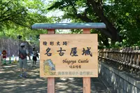 名古屋城の写真・動画_image_403042