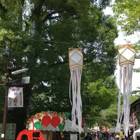 深大寺の写真・動画_image_403654