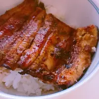 うな菊の写真・動画_image_403706