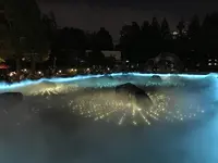 東京ミッドタウンの写真・動画_image_403930