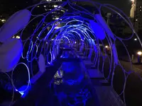 東京ミッドタウンの写真・動画_image_403938