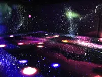 【閉業】森ビルデジタルアートミュージアム：エプソン チームラボボーダレス（MORI Building Digital Art Museum: EPSON teamLab Borderless）の写真・動画_image_403961