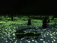 【閉業】森ビルデジタルアートミュージアム：エプソン チームラボボーダレス（MORI Building Digital Art Museum: EPSON teamLab Borderless）の写真・動画_image_403967