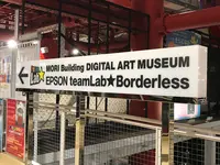 【閉業】森ビルデジタルアートミュージアム：エプソン チームラボボーダレス（MORI Building Digital Art Museum: EPSON teamLab Borderless）の写真・動画_image_403968