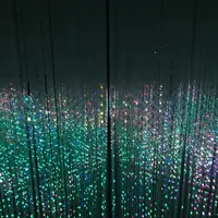 【閉業】森ビルデジタルアートミュージアム：エプソン チームラボボーダレス（MORI Building Digital Art Museum: EPSON teamLab Borderless）の写真・動画_image_403970