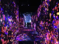 【閉業】森ビルデジタルアートミュージアム：エプソン チームラボボーダレス（MORI Building Digital Art Museum: EPSON teamLab Borderless）の写真・動画_image_403971