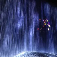 【閉業】森ビルデジタルアートミュージアム：エプソン チームラボボーダレス（MORI Building Digital Art Museum: EPSON teamLab Borderless）の写真・動画_image_403972
