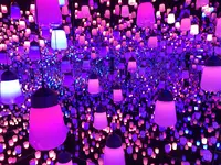 【閉業】森ビルデジタルアートミュージアム：エプソン チームラボボーダレス（MORI Building Digital Art Museum: EPSON teamLab Borderless）の写真・動画_image_403973