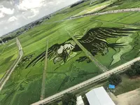 古代蓮の里の写真・動画_image_406216