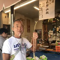 宮川朝市の写真・動画_image_406333
