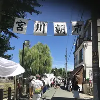 宮川朝市の写真・動画_image_406335