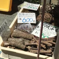 宮川朝市の写真・動画_image_406336