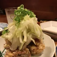 タグルの写真・動画_image_406728