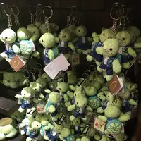 kalepas storeの写真・動画_image_407567