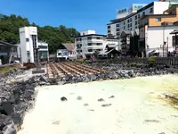 積善館の写真・動画_image_407896