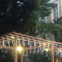 川越氷川神社の写真・動画_image_408295
