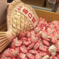 川越氷川神社の写真・動画_image_408296