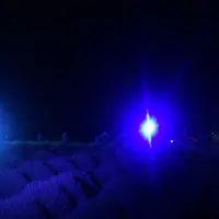 国営ひたち海浜公園の写真・動画_image_408305