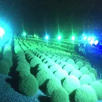国営ひたち海浜公園の写真・動画_image_408309