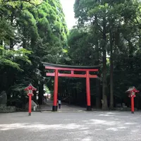 霧島神宮の写真・動画_image_410143