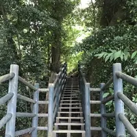 丸尾滝の写真・動画_image_410151