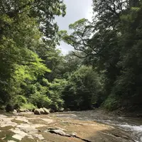 丸尾滝の写真・動画_image_410152