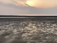 父母ヶ浜海岸の写真・動画_image_411751
