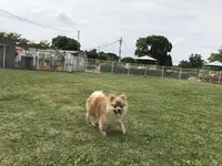 彩湖道満グリーンパークの写真・動画_image_412001