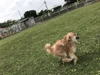 彩湖道満グリーンパークの写真・動画_image_412002