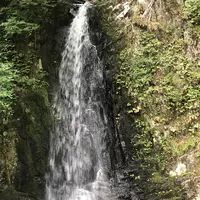 県立自然公園宇津江四十八滝の写真・動画_image_412249