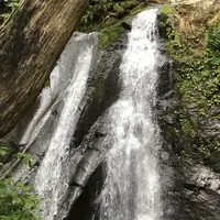 県立自然公園宇津江四十八滝の写真・動画_image_412250