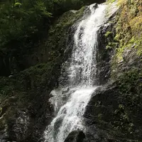 県立自然公園宇津江四十八滝の写真・動画_image_412252