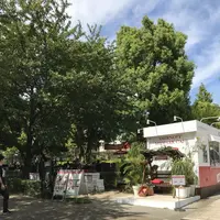 東京ミッドタウンの写真・動画_image_412705