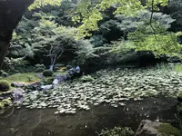 南禅寺の写真・動画_image_413147