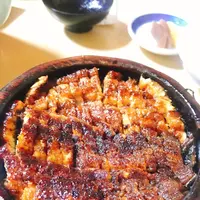 蓬扇の写真・動画_image_413934