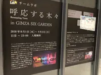 ギンザ シックス（GINZA SIX）の写真・動画_image_413960