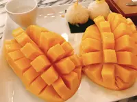 Make Me Mangoの写真・動画_image_415417