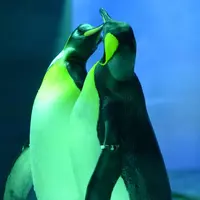 しまね海洋館アクアスの写真・動画_image_416385