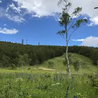 入笠山の写真・動画_image_417856