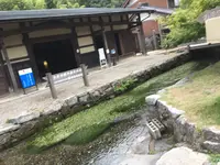 醒井の梅花藻の写真・動画_image_418702