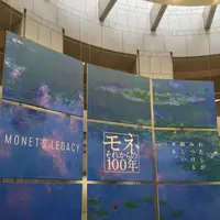 横浜美術館の写真・動画_image_420696