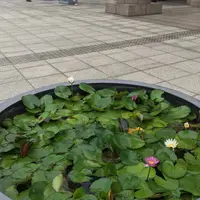 横浜美術館の写真・動画_image_420697